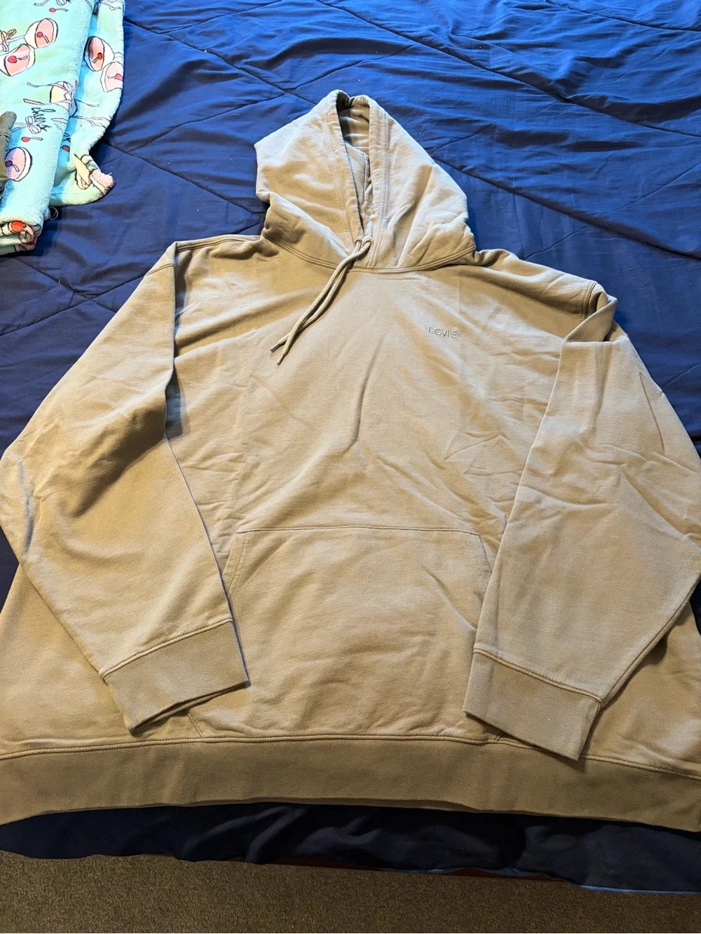 Levi Men's Green Hoodie